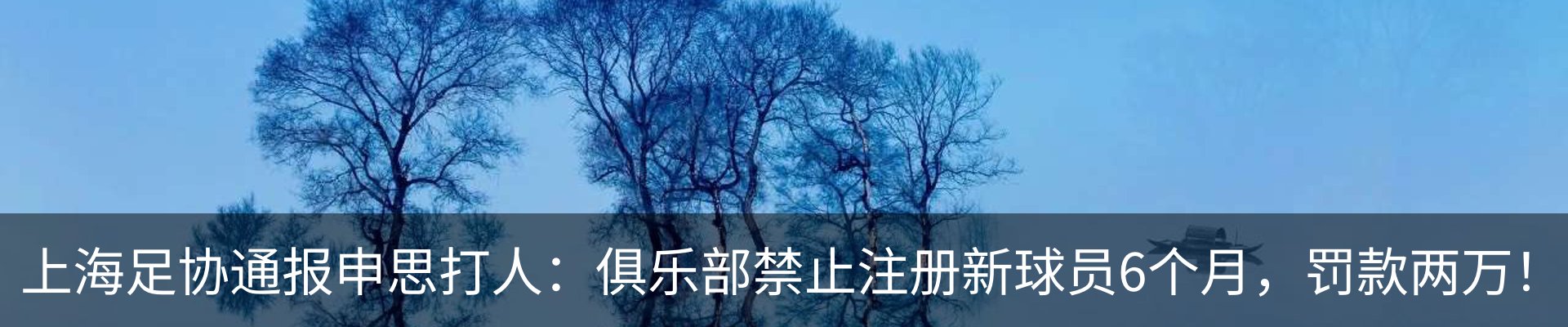 新闻动态