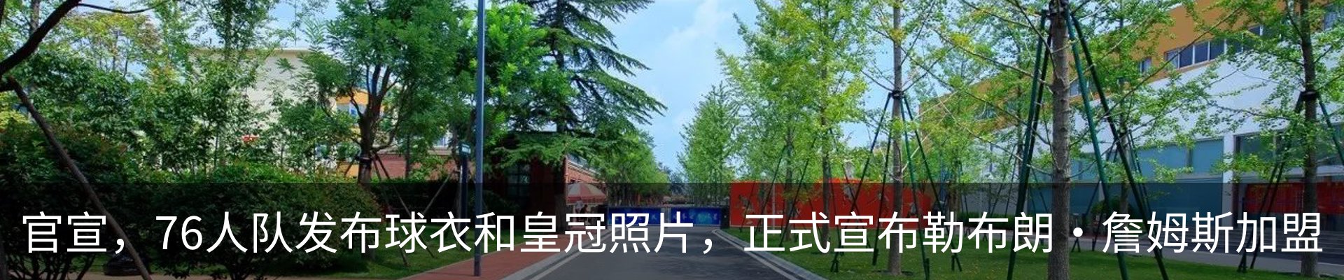 新闻动态