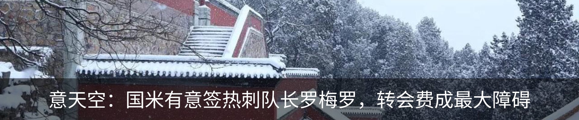 新闻动态