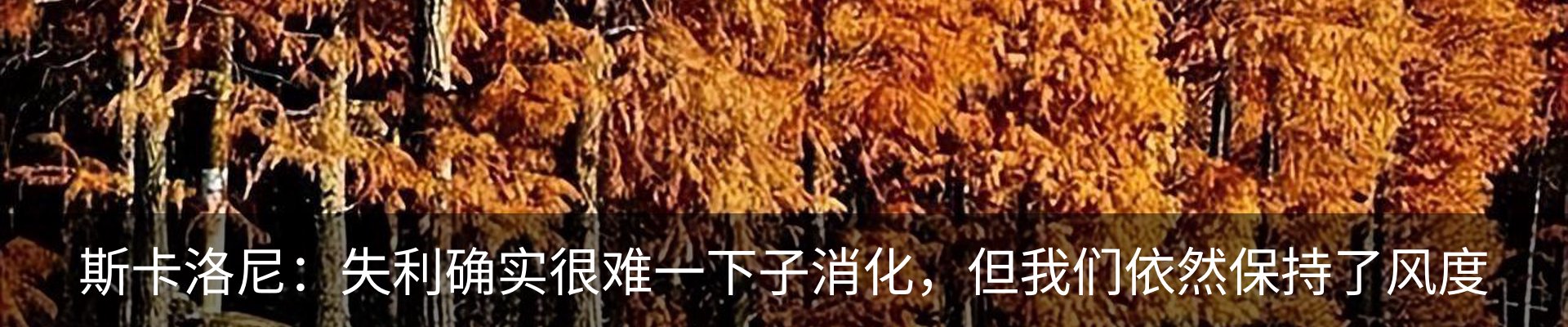 新闻动态