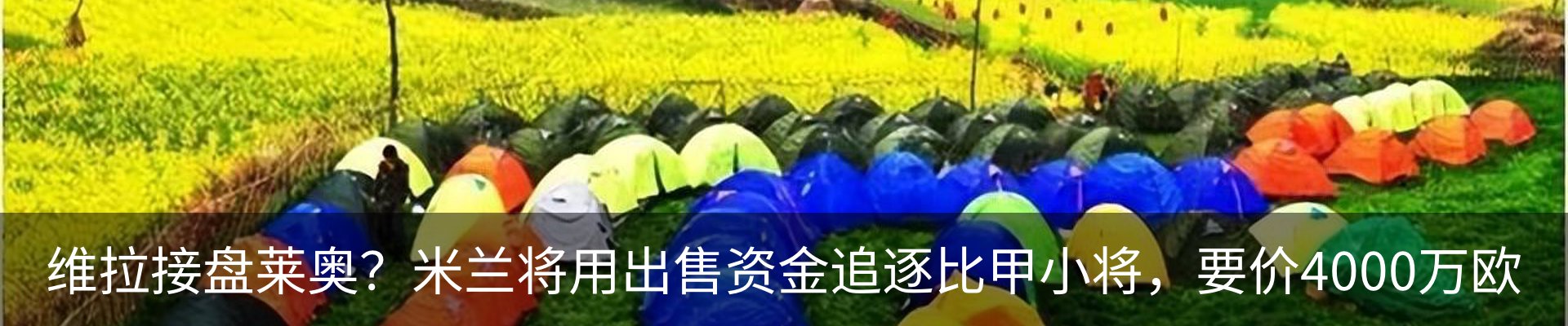 新闻动态