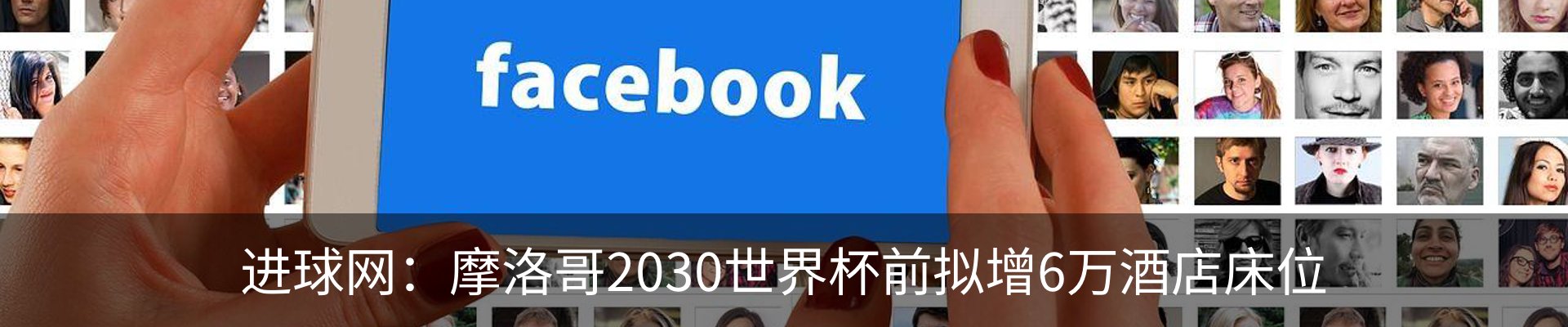 新闻动态