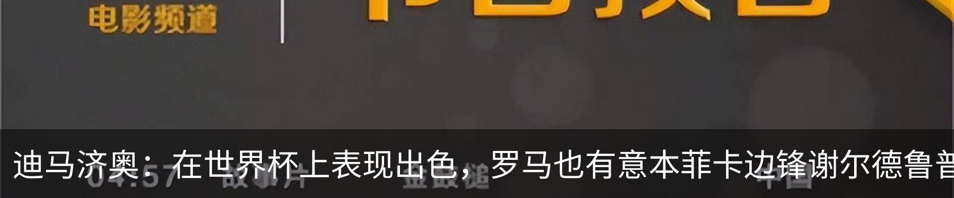 新闻动态