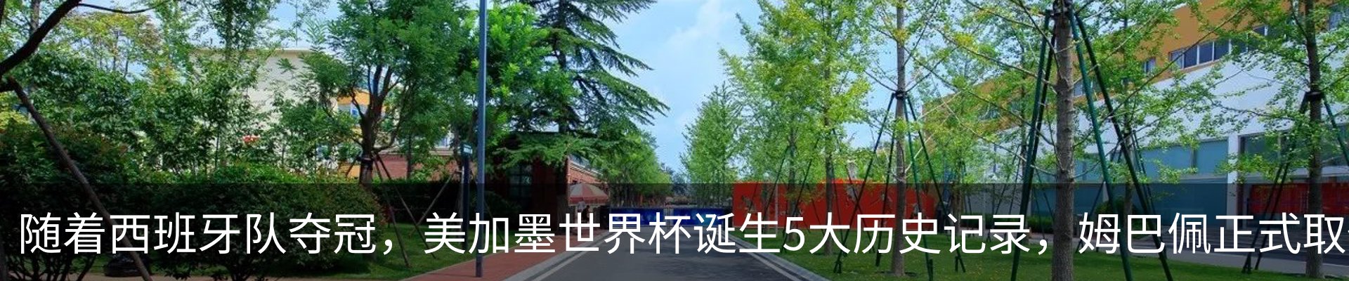 新闻动态
