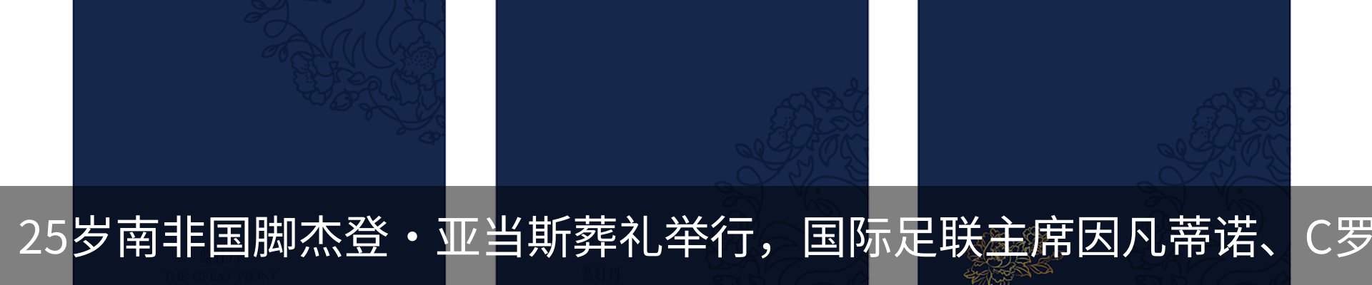 新闻动态
