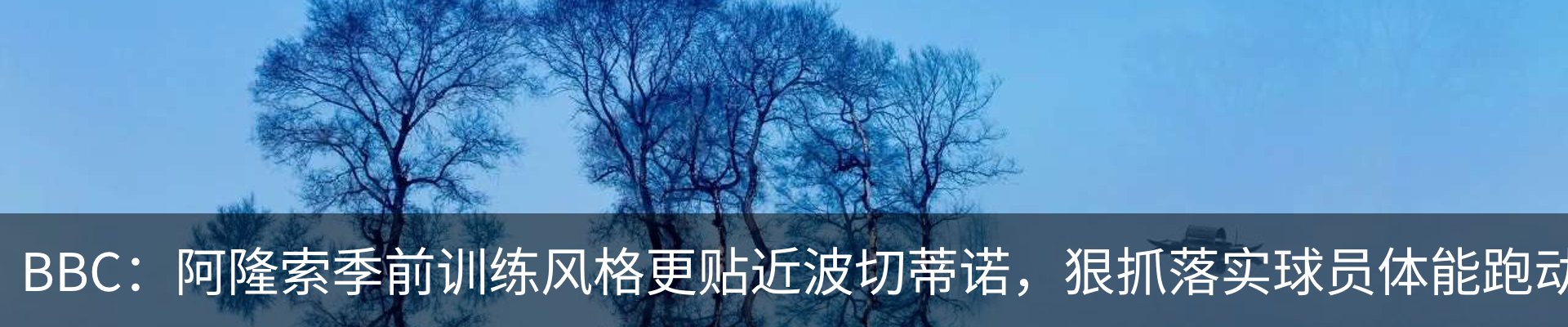 新闻动态